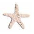 Mini 5 Pointed Starfish Style Shape Seed Paper Gift Pack